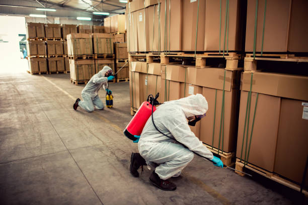 Best Bed Bug Extermination  in Bayport, NY