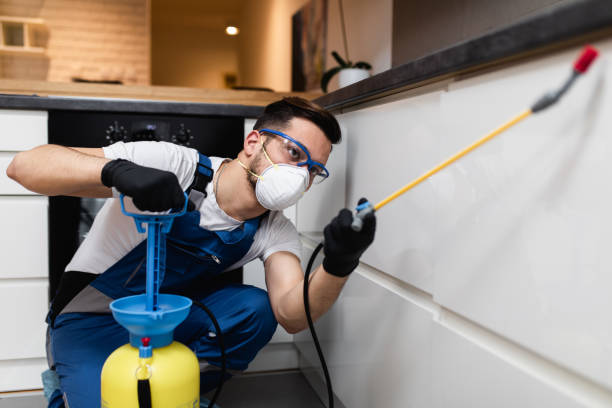 Best Mosquito Control Services  in Bayport, NY