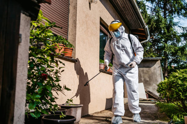Best Local Pest Control Services  in Bayport, NY