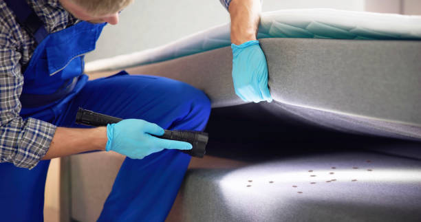 Best Exterminator Services  in Bayport, NY