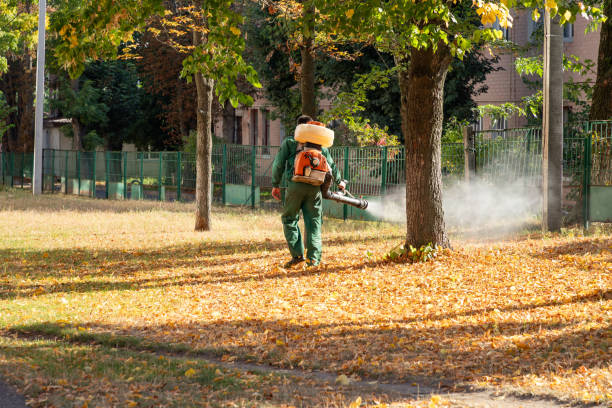 Professional Pest Control in Bayport, NY