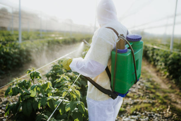 Best Pest Prevention Services  in Bayport, NY